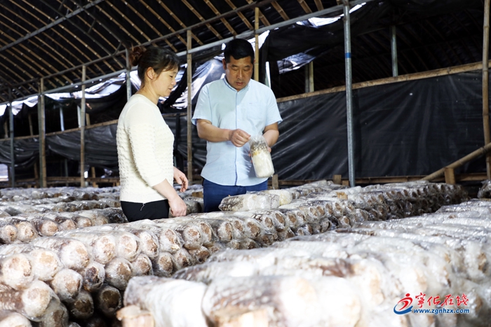 【小康來敲門】貧困畬村的美麗嬗變