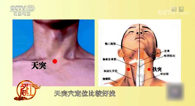 【快看·健康】緩解咽喉痛、咽干不適 喉部按摩你會嗎？