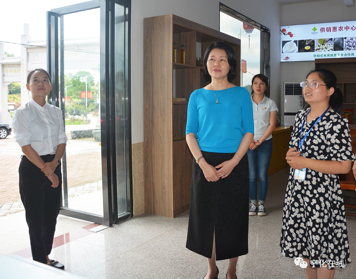 省婦聯調研組來寧化調研