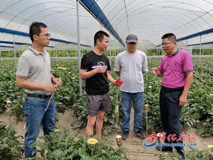 【滿意在三明】省農(nóng)科院專家送技術(shù)下鄉(xiāng)，助農(nóng)增收