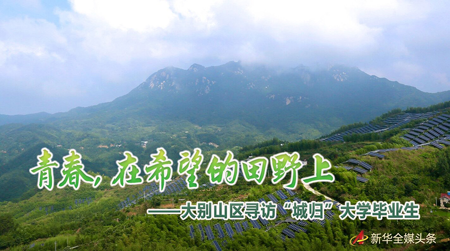 5G信號(hào)“配送員”、兼職保險(xiǎn)查勘員……看這些企業(yè)的“花式”用工