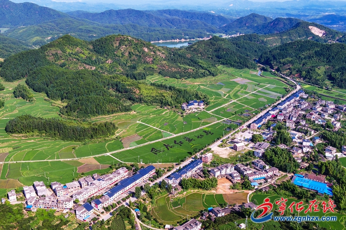 【中國綠都 最氧三明】寧化：“稻田彩繪”初步顯現