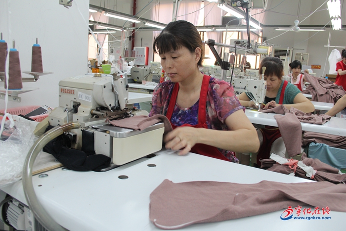 【滿意在三明】寧化：為小微企業筑“巢穴”孵夢想