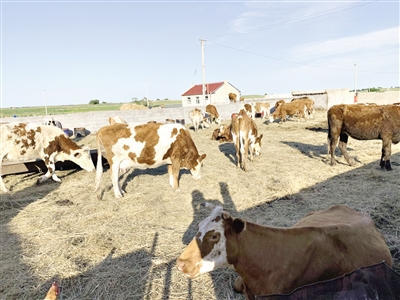 地圖隨意畫圈… "新調(diào)整"能終結(jié)自然保護(hù)區(qū)亂象?