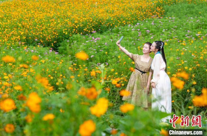 0元、1元…超級黃金周搶人大戰開啟！你準備去哪？