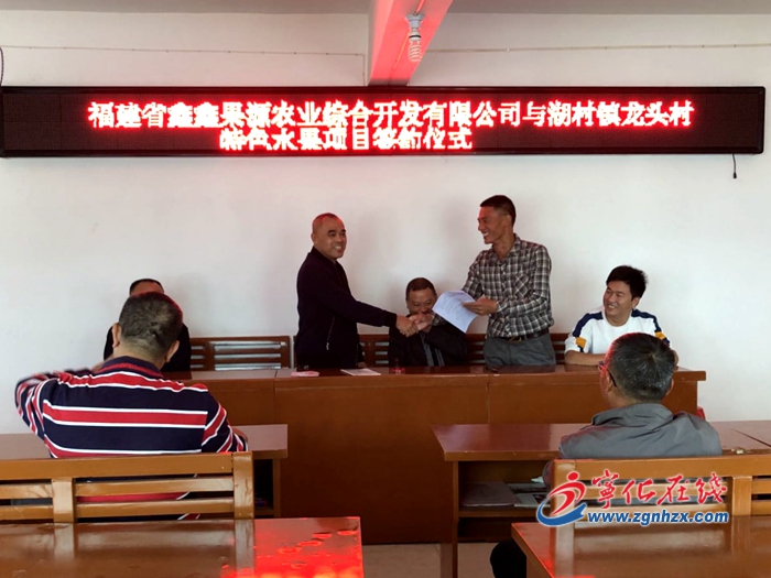 【工業基地 活力新城】寧化湖村鎮引進千畝特色水果種植項目