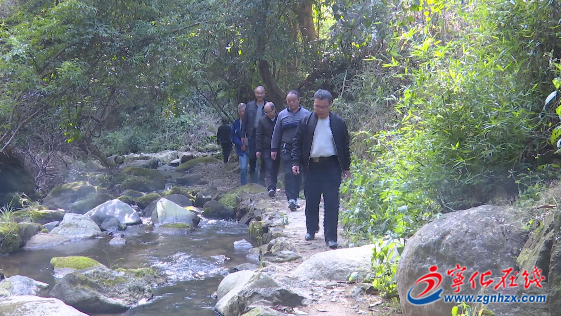 【滿意在三明】快來圍觀！寧化舉辦首屆森林康養(yǎng)文化旅游節(jié)