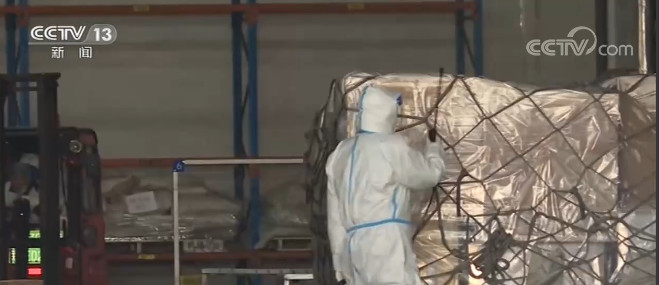 進口非冷鏈集裝箱貨物應主動報告是否來自高風險國家或地區