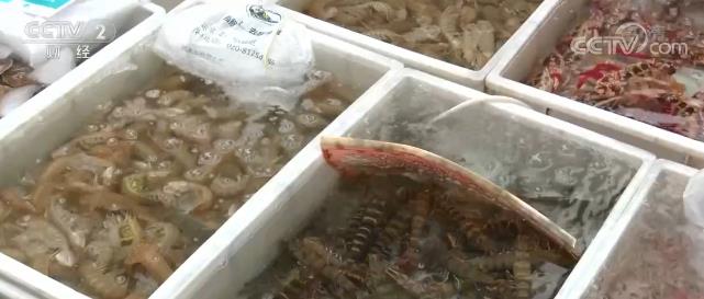 【節前消費市場】本土海鮮人氣旺 國產活蝦量價齊升