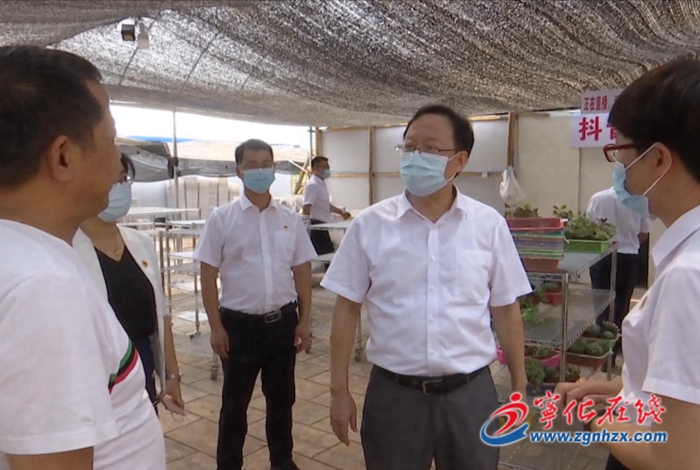 市領(lǐng)導(dǎo)來寧調(diào)研