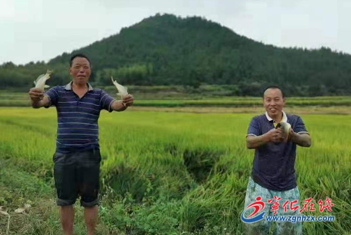 堅持黨建引領,河龍鄉走出產業振興新路子