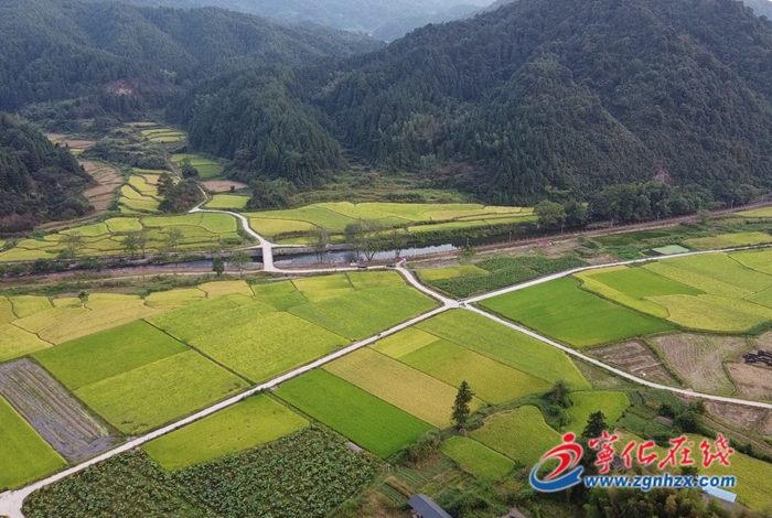 安遠鎮：打造“生態文明、宜商宜居”的閩贛邊界特色小鎮