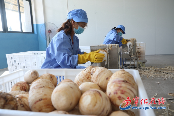 寧化:農副產品加工及冷鏈配送一體化建設項目投入生產