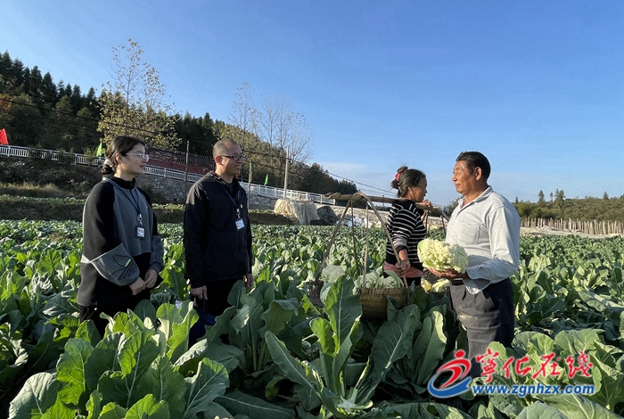 寧化：紀(jì)檢干部田間地頭聽民聲
