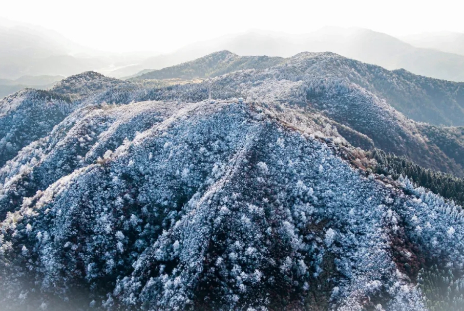 重要天氣預(yù)警報告