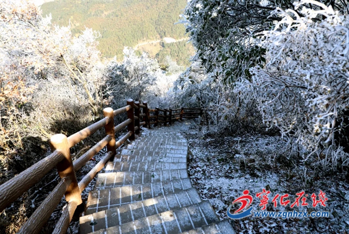 寒潮來襲!這些防凍措施要知道