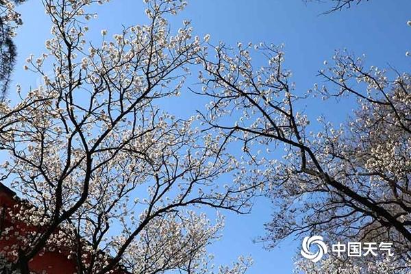 我國多地氣溫將創(chuàng)今年來新高 周末升溫至頂點