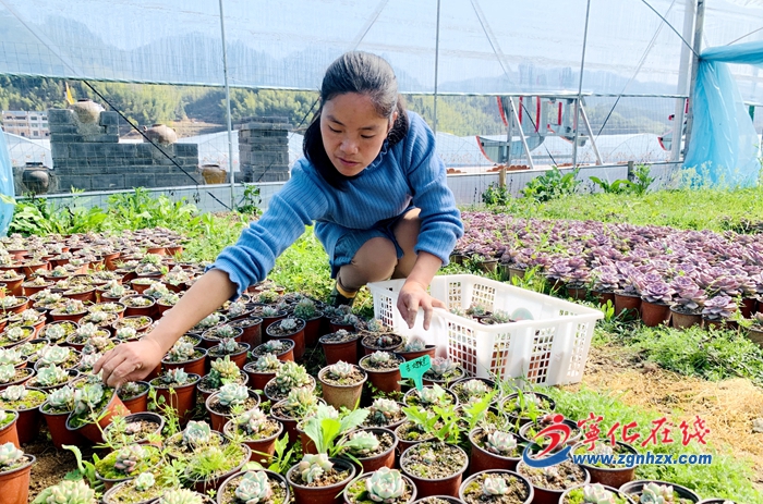 寧化： 田間農事忙