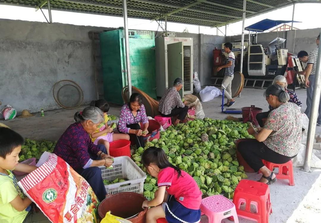 【小康來敲門】紅土地上拔窮根,寧化這里的村民生活越過越紅火