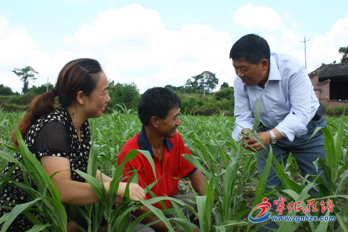 寧化：紅土地上拔窮根
