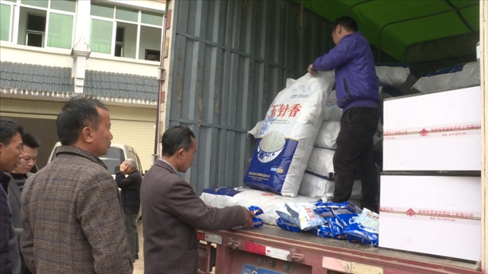 【滿意在三明】贊！寧化：免費發放優質稻種 助力農企“雙贏”