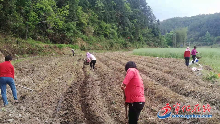 寧化客家小吃方田生態食材基地建設有序推進