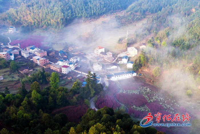 好山好水 淌出“綠色財(cái)富”