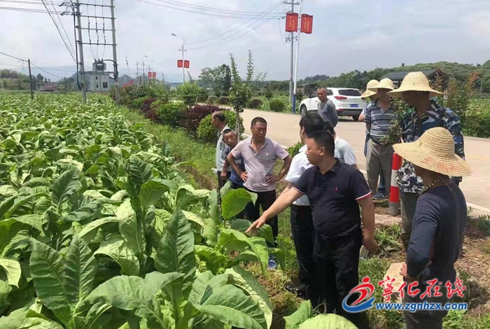 寧化淮土鎮(zhèn)：遭受暴雨襲擊，全力開展生產(chǎn)自救