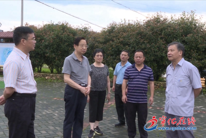 省鄉村振興“兩會”咨詢組來寧化調研