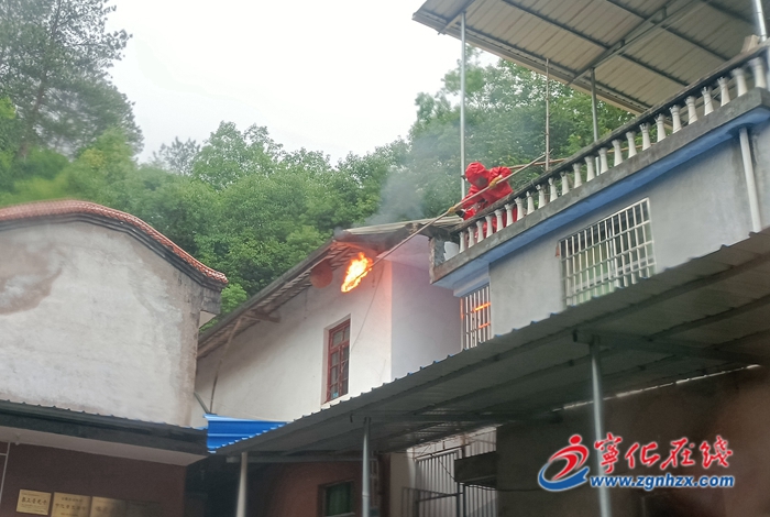 【我為群眾辦實事】泉上鎮:摘蜂窩解民憂