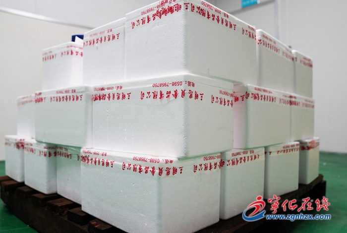 寧化：鄉(xiāng)賢回歸辦實業(yè)