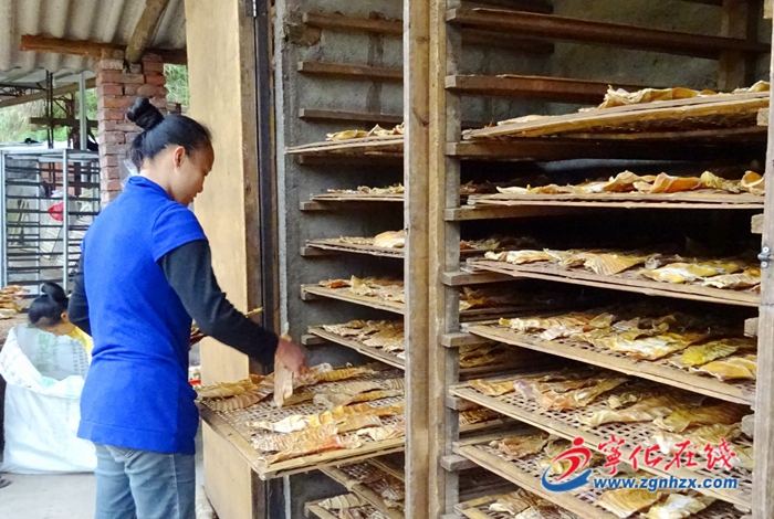 安樂:國家級合作社鼓足竹農“錢袋子”