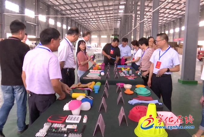 部分省十三屆人大代表來寧開展專題調(diào)研