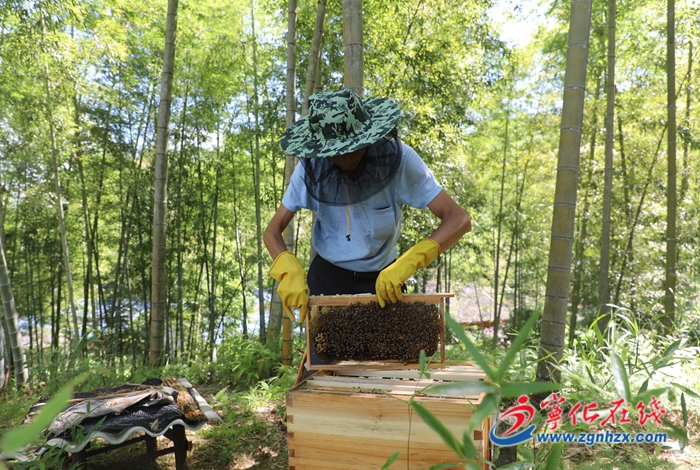 大叔的“甜蜜”事業(yè)