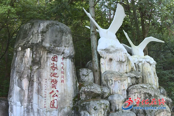 【牢記囑托再出發(fā) 攻堅克難促發(fā)展——寧化這五年】立足生態(tài)優(yōu)勢 打造康養(yǎng)福地