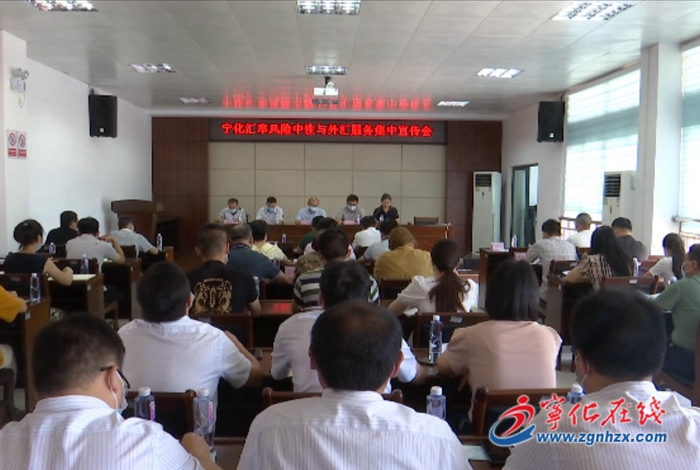 寧化舉辦匯率風險中性與外匯服務集中宣傳活動