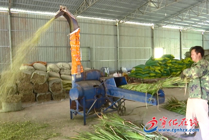 淮土鎮(zhèn):共同富裕取得新進(jìn)步