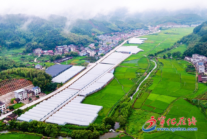 安樂鎮:發展特色產業 描繪富美新畫卷