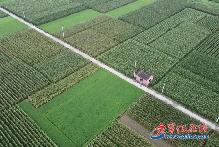 治平畬族鄉:立足資源優勢 打造特色畬鄉