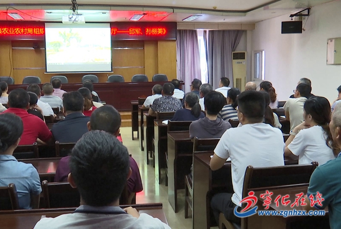 “時(shí)代楷?！睂O麗美先進(jìn)事跡在寧化引發(fā)熱烈反響