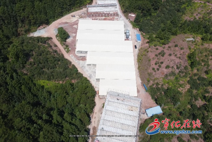 淮土鎮:發展生態豬養殖 助力產業振興