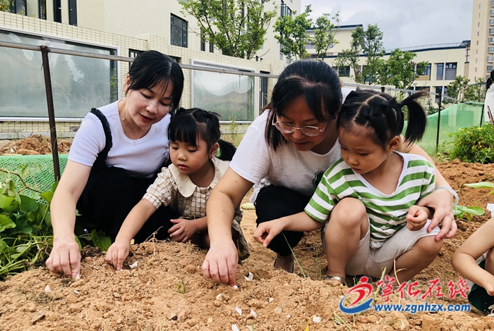 寧化縣連岡幼兒園開展“親自然,真探究”勞動實踐活動