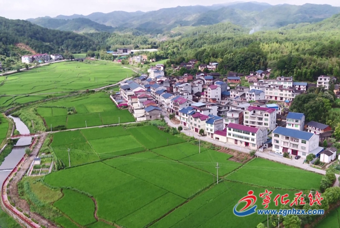 安樂鎮(zhèn)謝坊村:多肉種植讓百姓富鄉(xiāng)村美