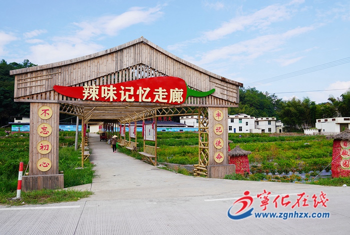 【奮進(jìn)新征程 建功新時(shí)代·非凡十年——部門篇】縣農(nóng)業(yè)農(nóng)村局:全面推進(jìn)鄉(xiāng)村振興 農(nóng)業(yè)現(xiàn)代化建設(shè)邁上新臺(tái)階