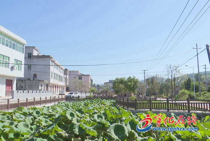 鄉村振興再出發|淮土鎮:改善移民生活條件 打造宜居美麗家園