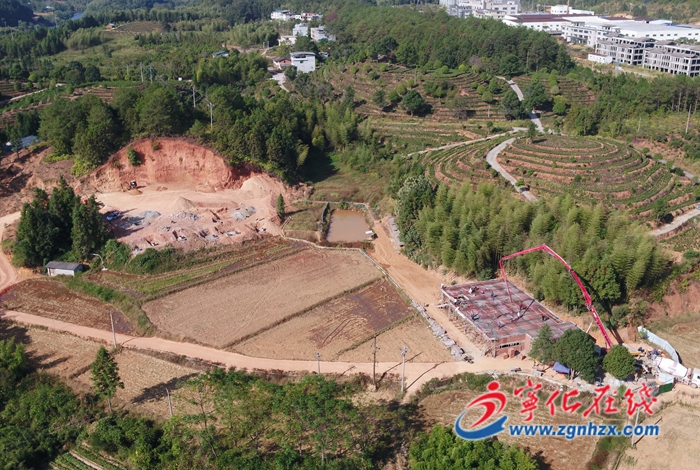 【青山綠水是無價之寶】寧化城郊:打響“河龍貢米”品牌 打造農業產業強鎮