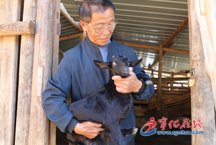 邱慶球：生態(tài)養(yǎng)殖開辟致富路