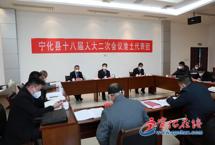 【聚焦兩會】寧化縣領導參加人大分組審議