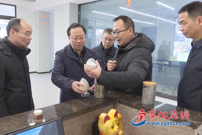 市領導來寧化指導督促一季度“開門穩”“開門紅”工作