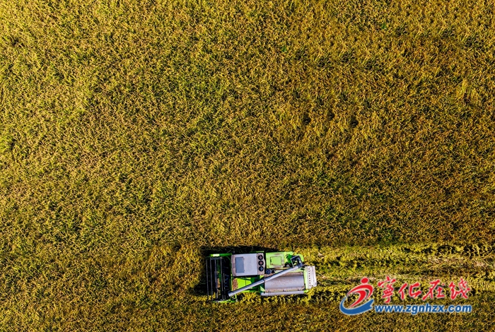 國家級名單公示!寧化上榜!